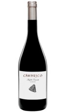 Cámbrico El Pocito 2015