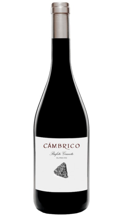 Cámbrico El Pocito 2014