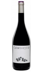 Cámbrico Tempranillo 2012