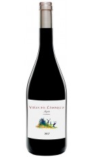 Viñas del Cámbrico Villanueva 2019