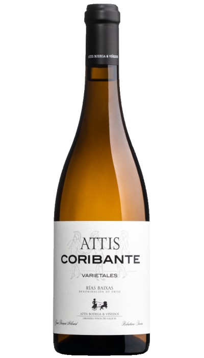 Attis Coribante 2017