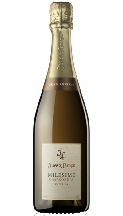 Juvé & Camps Milesimé Chardonnay 2018