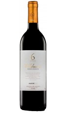 Valduero 6 Años Reserva Premium Doble Magnum 2014