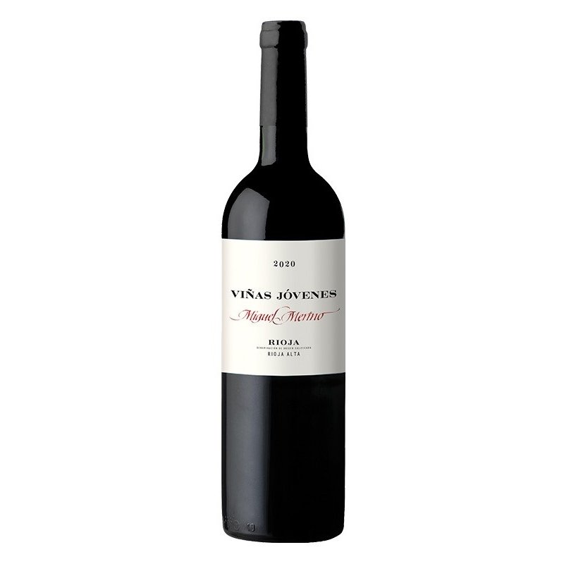 Miguel Merino Viñas Jóvenes 2020