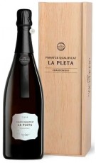 Codorniu Ars Collecta Paraje Calificado La Pleta Gran Reserva 2014