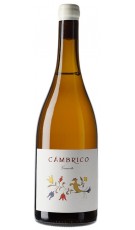 Viñas del Cámbrico 2015