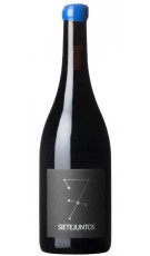 MicroBio Sietejuntos Syrah 2021