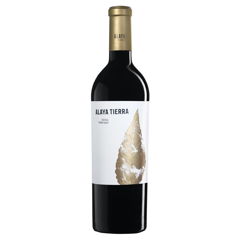 Alaya Tierra 2023