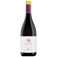 Luis Alegre Maceración Carbónica 2024