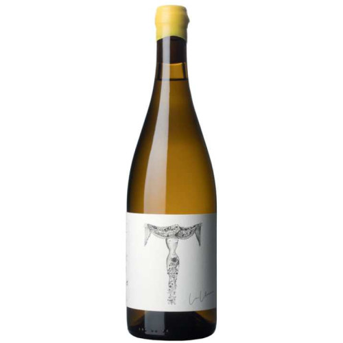 Verónica Ortega La Llorona 2024