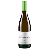 Algueira Brandán 2025