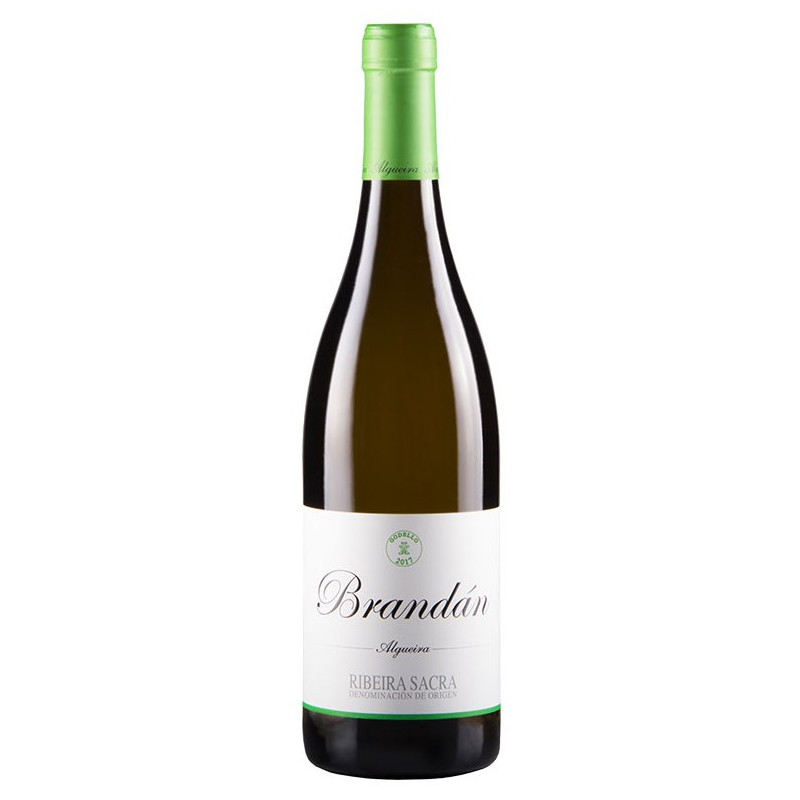 Algueira Brandán 2025