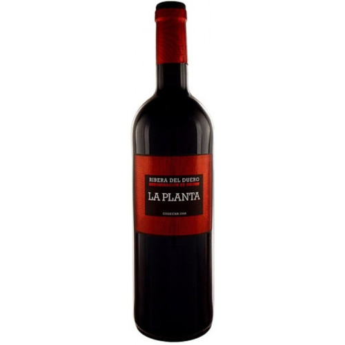 La Planta Magnum 2024