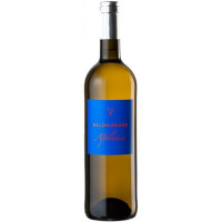 Quinta Apolonia 2025