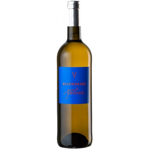 Quinta Apolonia 2025