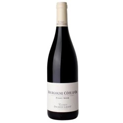 DOMAINE RODOLPHE DEMOUGEOT Bourgogne Cote d’Or 2023