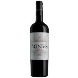 AGNVS Crianza 2023