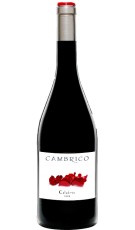 Cámbrico Calabres Mágnum 2009