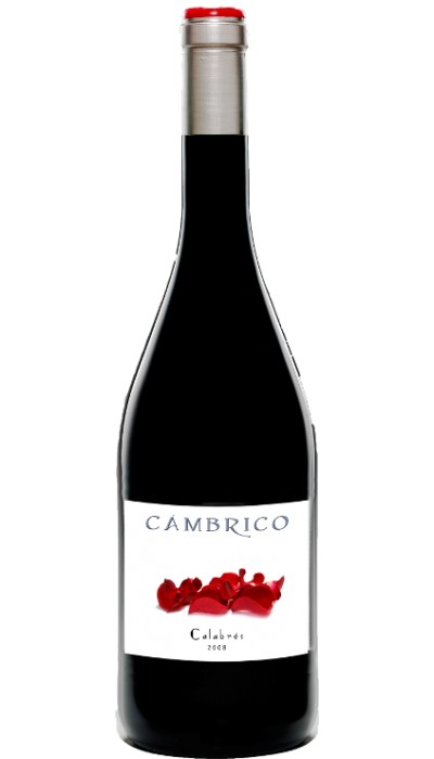 Cámbrico Calabres Mágnum 2009