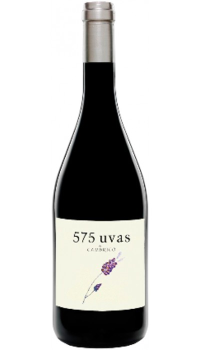 575 Uvas de Cámbrico 2013