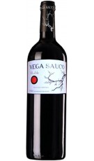 Vega Saúco Roble El Beybi 2020