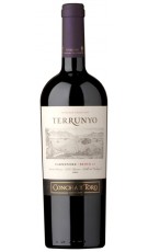 Terrunyo Carmenere 2013