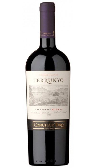 Terrunyo Carmenere 2013