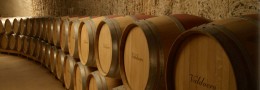 Enoturismo Bodegas Valduero