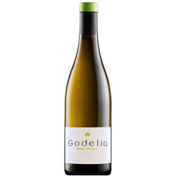 Godelia Blanco 2016