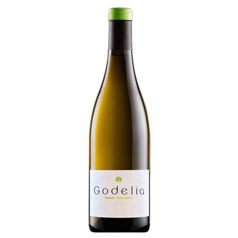 Godelia Blanco 2016