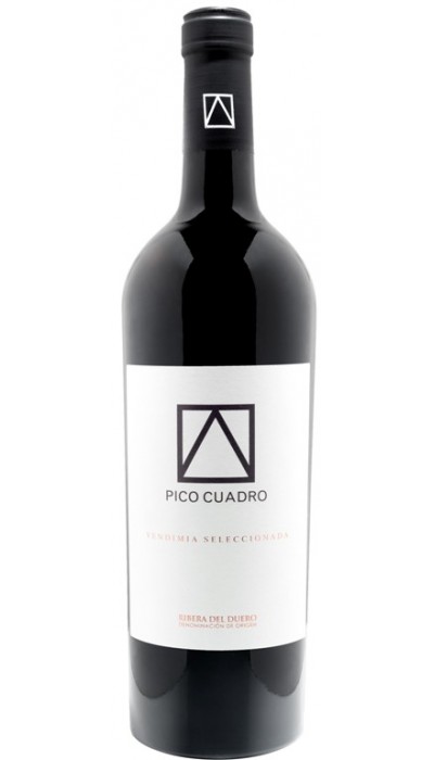 Pico Cuadro Vendimia Seleccionada Magnum 2013