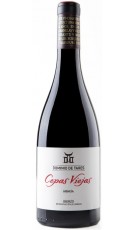 Dominio de Tares Cepas Viejas Magnum 2018