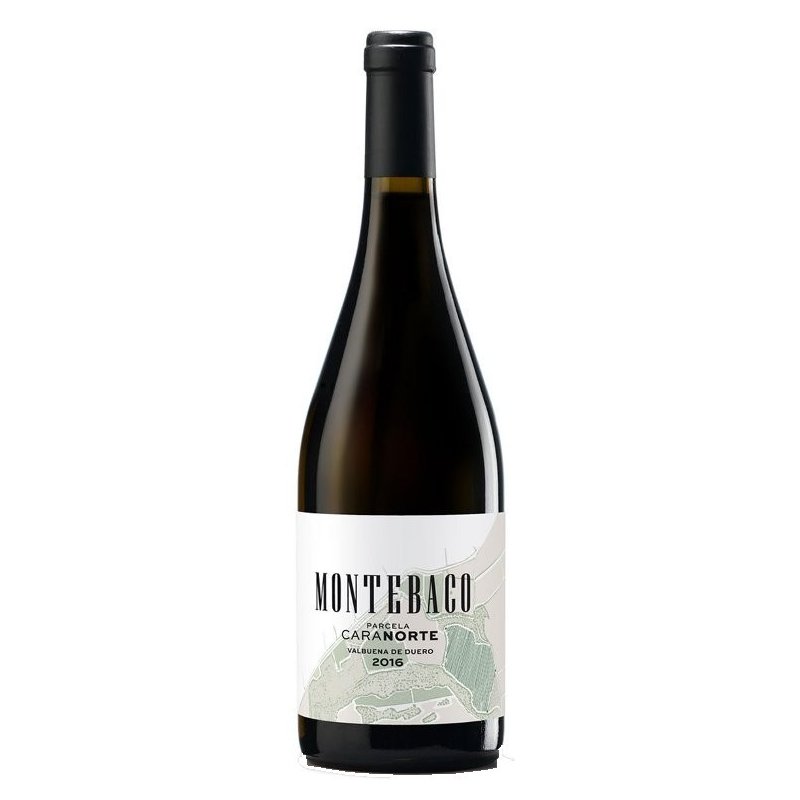 Montebaco Cara Norte 2016