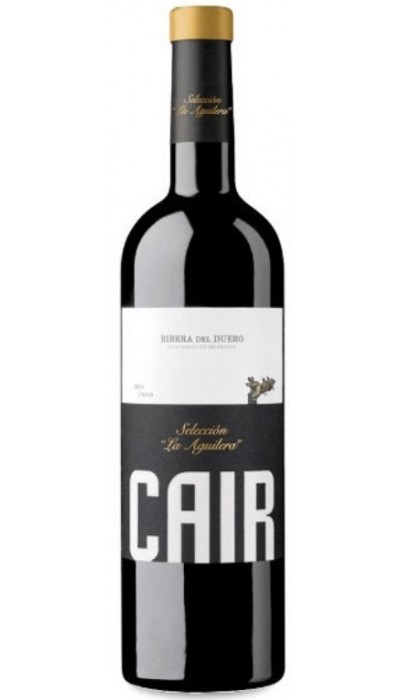 Cair Selección La Aguilera 2015