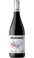 Oliver Conti Indispensable Negre 2018