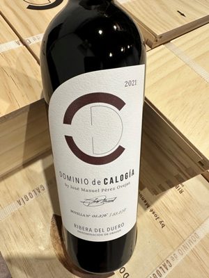 Dominio de Calogía by José Manuel Pérez Ovejas 2021