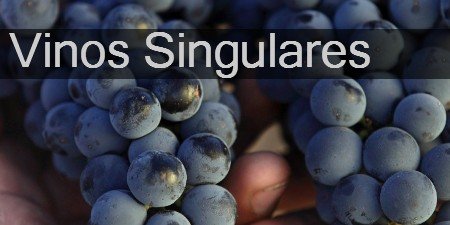 Vinos Singulares