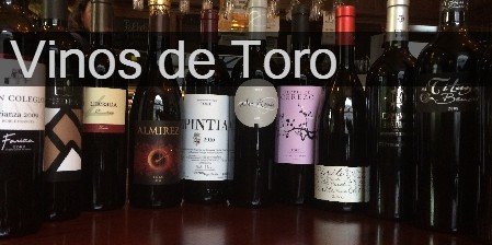 Vinos de Toro