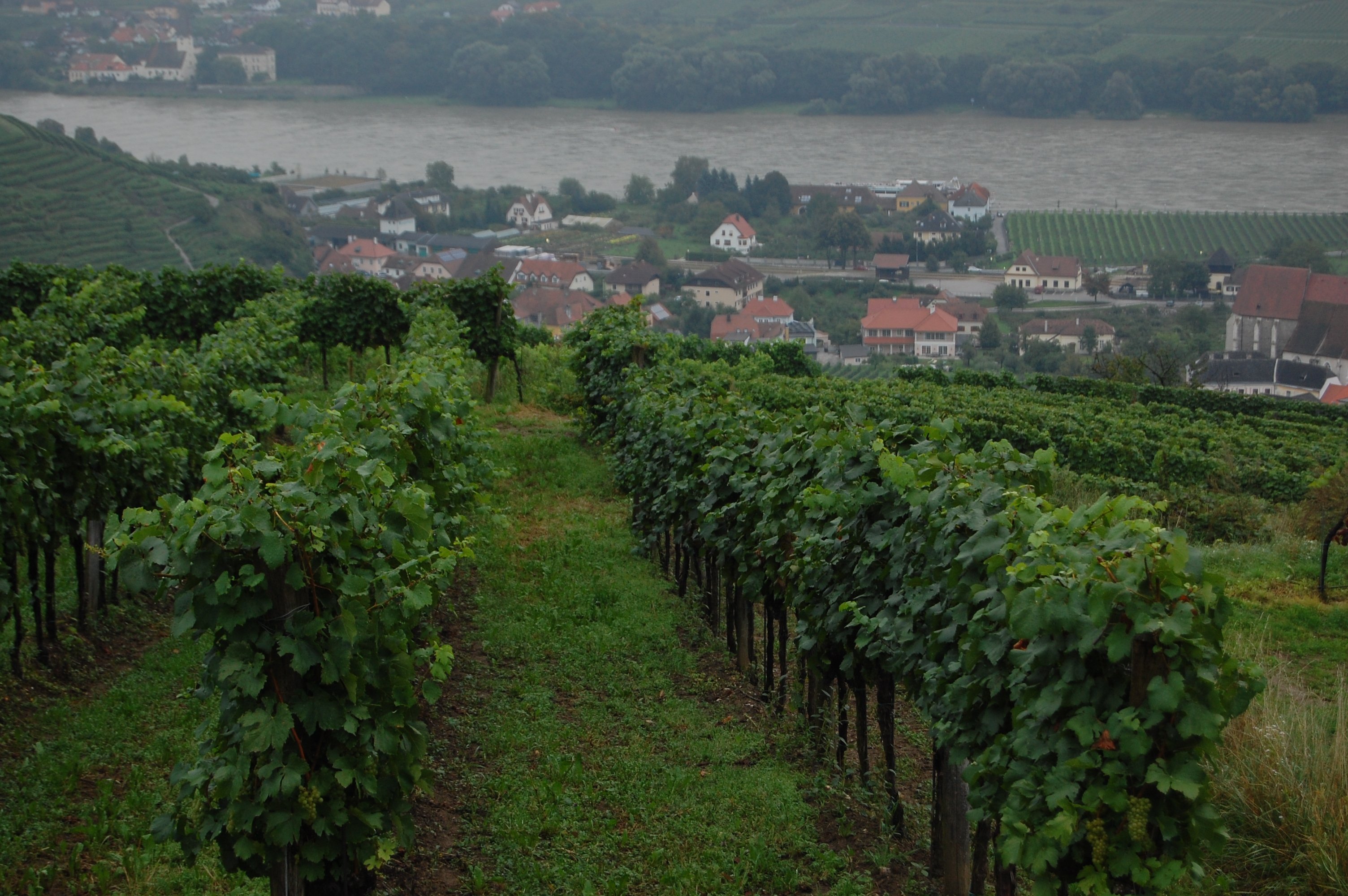 wachau