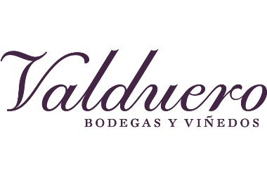 BODEGAS VALDUERO