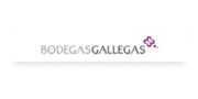 BODEGAS GALLEGAS