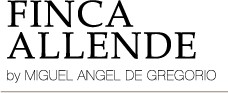 FINCA ALLENDE