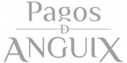 PAGOS DE ANGUIX